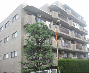 �g�[�J�h�{���F�O�ώʐ^